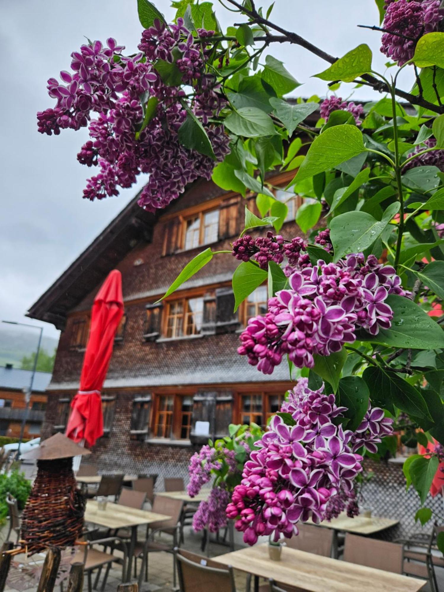 Naze'S Hus Mellau Hotel Exterior photo